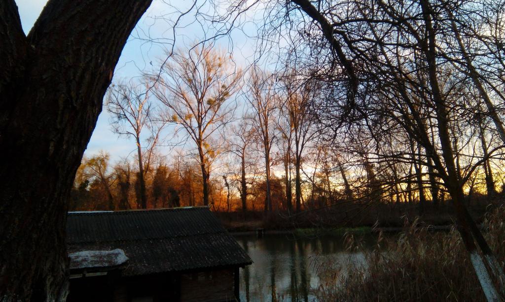 Chalets & Rooms Carda Sebesfok Bezdan Exterior foto